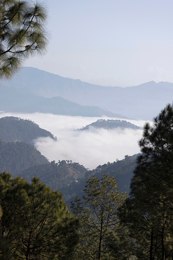 Binsar